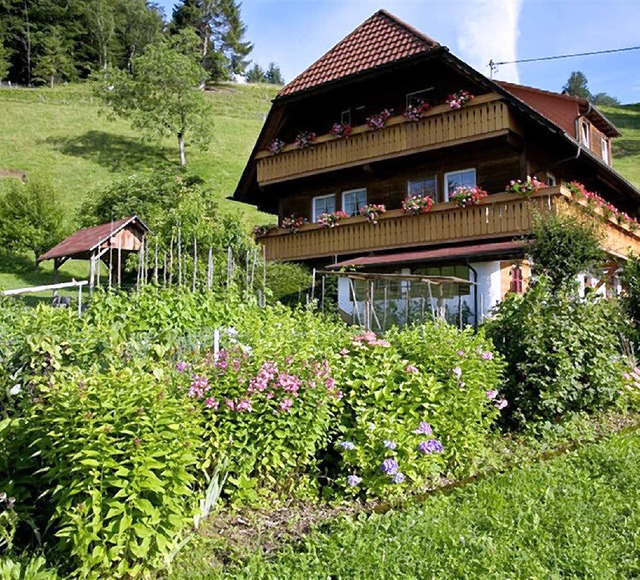 Bauerngrten in ihrer Vielfalt wieder ...rbs der Lokalen Agenda in Mnstertal.   | Foto: Kathrin Hugger