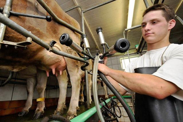 Milch-Boykott: Bauern entscheiden selbst