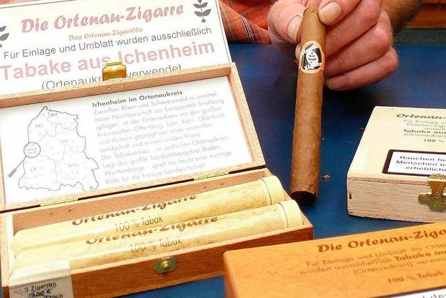 In der Ortenau-Zigarre glht ausschlielich Tabak aus Ichenheim