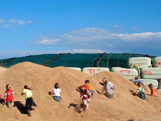 Wie die Stecknadel im Heuhaufen suchte...kelspelz nach versteckten Sigkeiten.  | Foto: Christa Maier