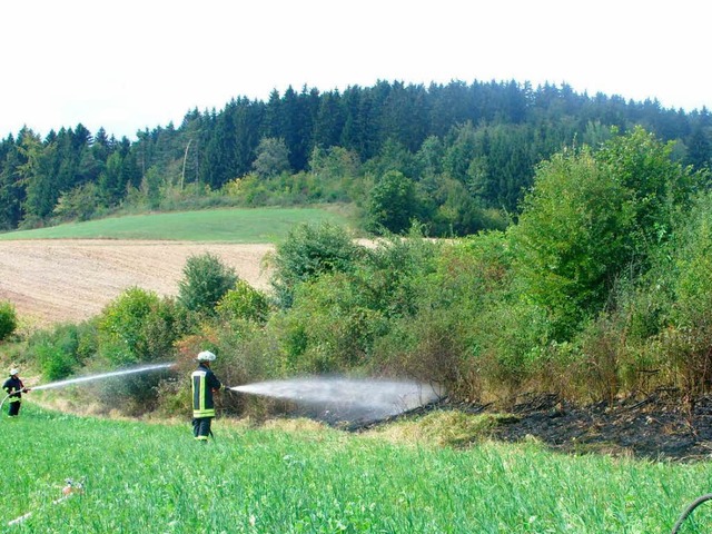 Flchenbrand nahe der alten Dillendorf...uerwehr konnte Schlimmeres verhindern.  | Foto: Konrad Benitz