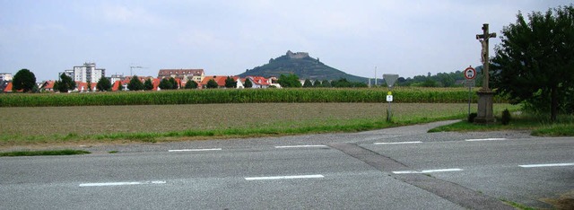 <Bildtext>Quer durch den Bildvordergru...sel gen Staufen und Burg. </Bildtext>   | Foto: Lange