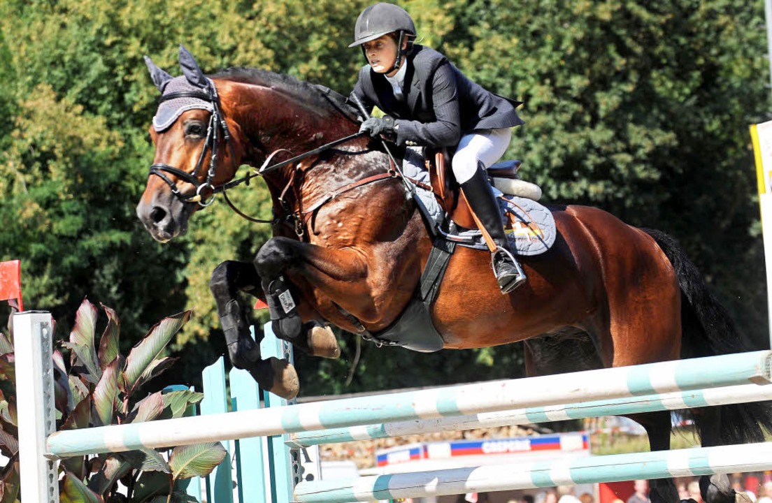 Dreher Gewinnt Erneut S Springen Reitsport Badische Zeitung