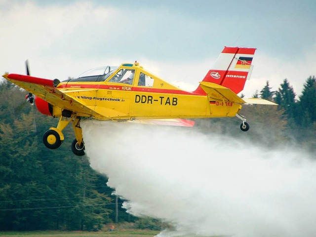 Was kann schner sein als Fliegen?  | Foto: Hildegard Siebold