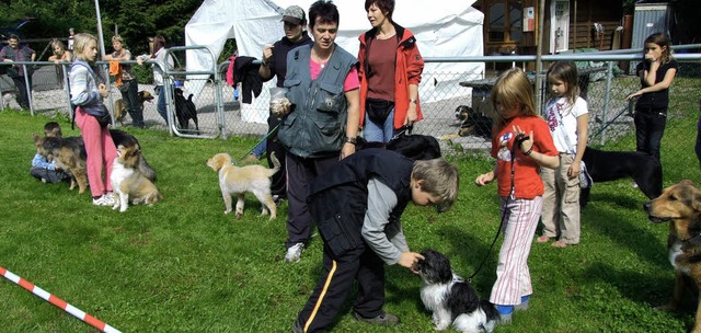 Hundebesitzer und ihre Vierbeiner konn...nem spielerischen Wettbewerb stellen.   | Foto: Mann