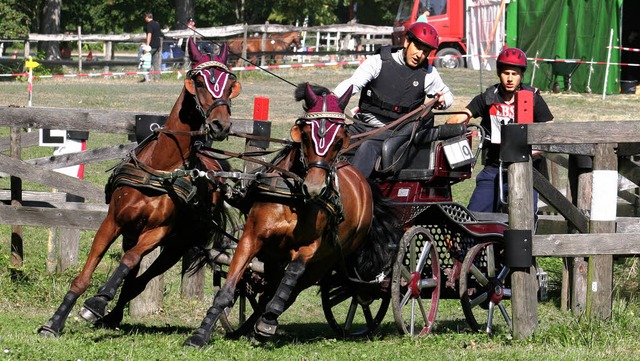 Hubert Hringer, Sieger  des M-Turnier...   Kleinpferden  Merlin und  Morioka.   | Foto: Anita Birkenhofer