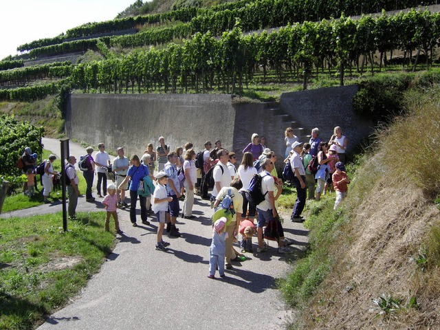 Familien erkunden Weinterrassen und Lboden.   | Foto: Ganter