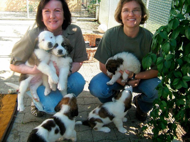 Zwei Arme voll Hundekinder: Tierzentru...d ihre Stellvertreterin Tina Gwildies.  | Foto: anne freyer