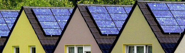 Die Nutzung erneuerbarer Energien, wie...-Slden, Werner Burkart (Bild unten).   | Foto: ddp/Barbara Schmidt