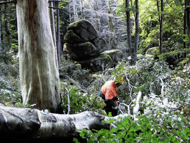 Harte Arbeit war wieder gefragt, beim ...lsformationen &quot;Kreuzfelsen&quot;.  | Foto: Thomas Steimer