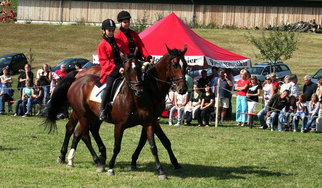 Die Kosaken-Quadrille war ein toller P...eit- und Fahrfest auf dem Facklerhof.   | Foto: Karin Heiss