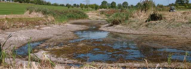 Vom groen Teich ist nur noch ein Tmpel briggeblieben.   | Foto: Babeck-Reinsch