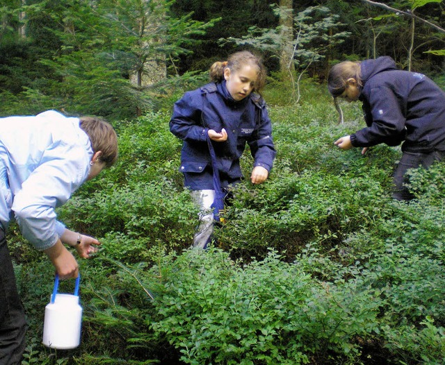 Selbstversorgung war angesagt bei dies...r Wurzelkids  beim Heidelbeersammeln    | Foto: privat