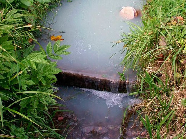 ber einen Kanal gelangte die Milch in den Fischteich.  | Foto: Polizei