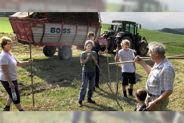 Arbeitseinsatz fr die Natur