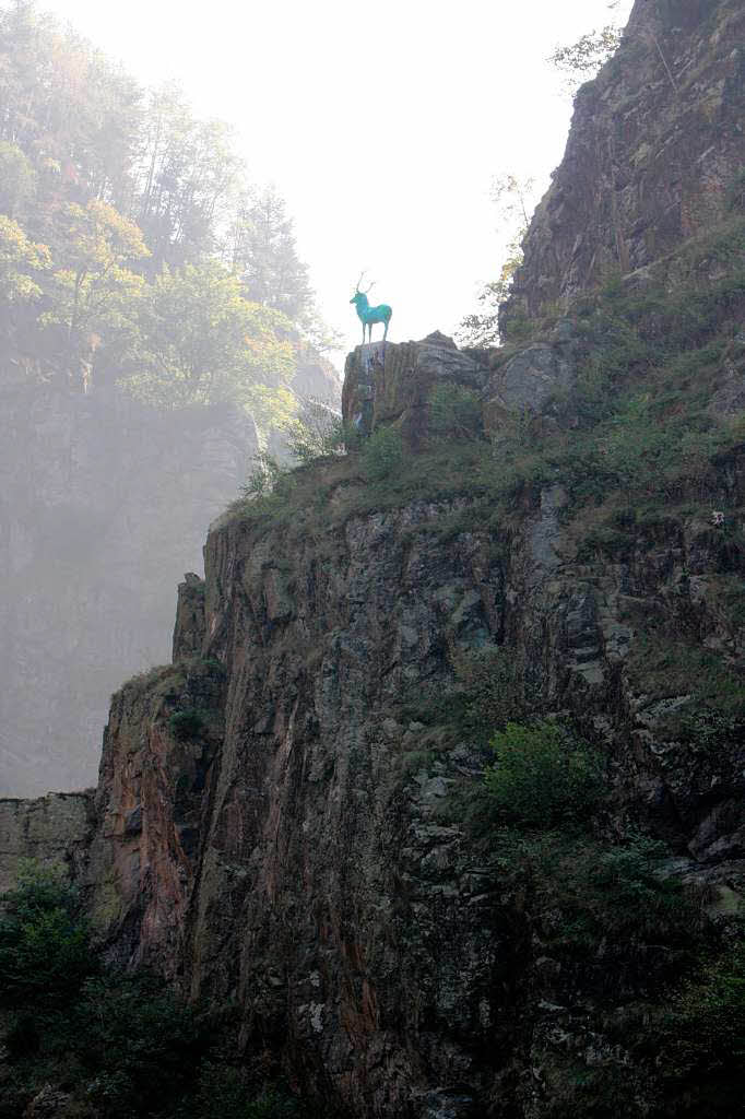 Knallgrün und hellblau: Der Hirsch im Höllental. Knallgrün und hellblau: Der Hirsch im Höllental.