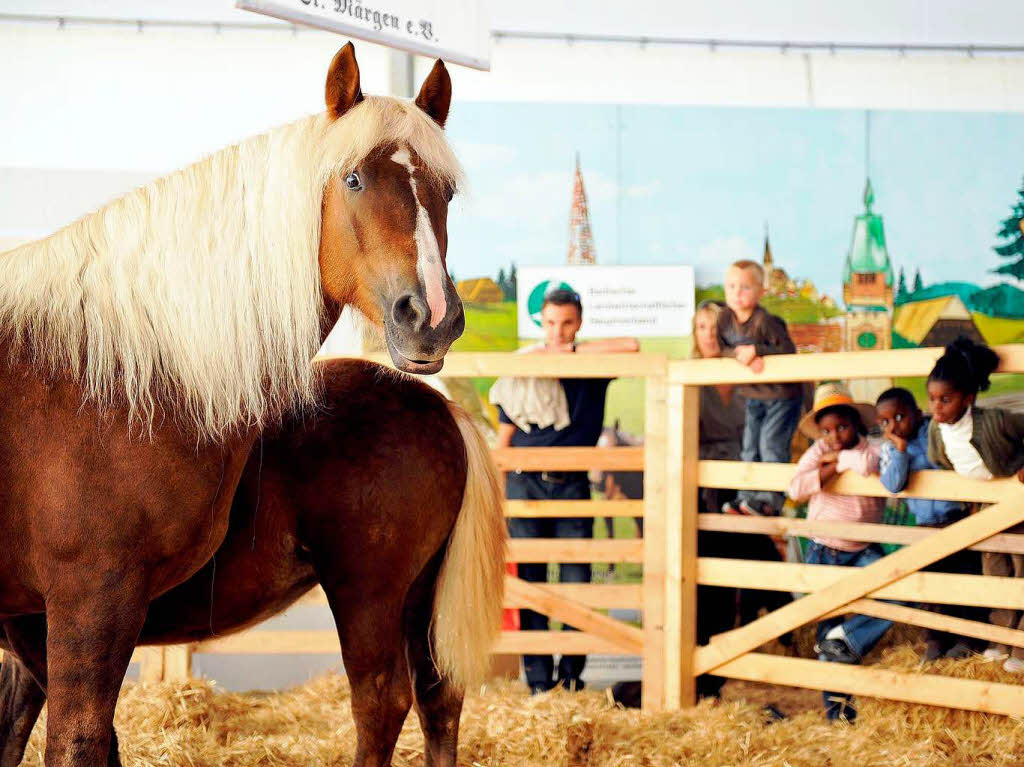 Fotos vom Erffnungstag  der Oberrheinmesse  in Offenburg