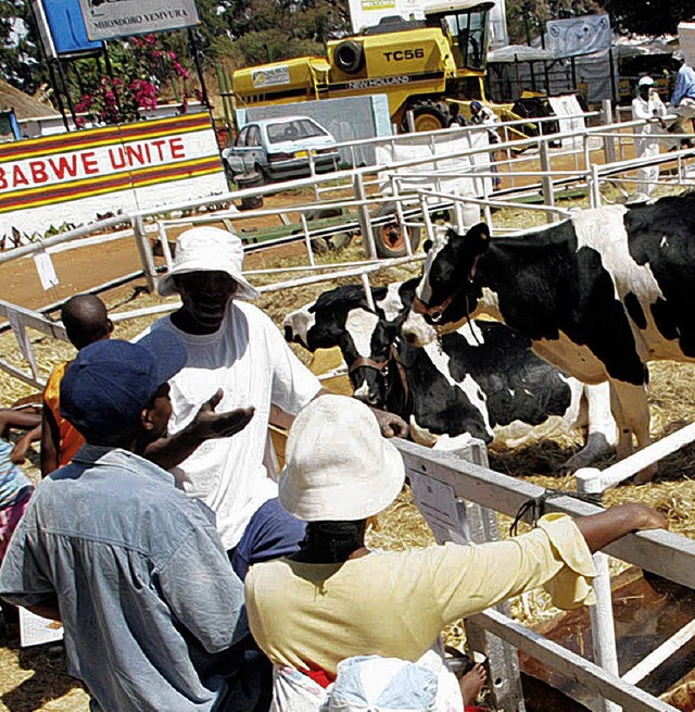 Milchbauern in Simbabwe  | Foto: afp