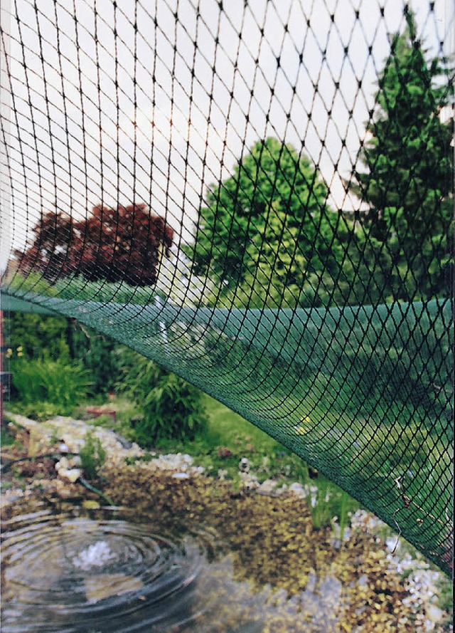 Ein Laubnetz schtzt, damit das Wasser klar bleibt.  | Foto: Oase