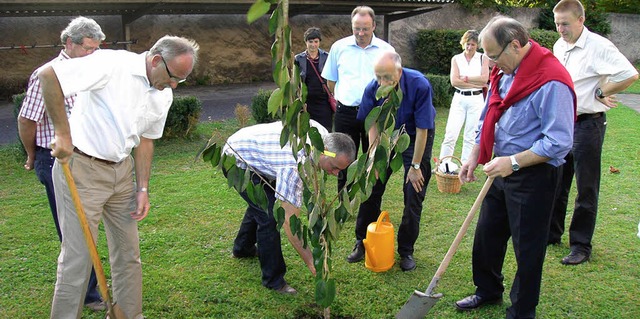 Die Freundschaft soll Frchte tragen: ...n einen Kirschbaum mit nach Klingnau.   | Foto: privat