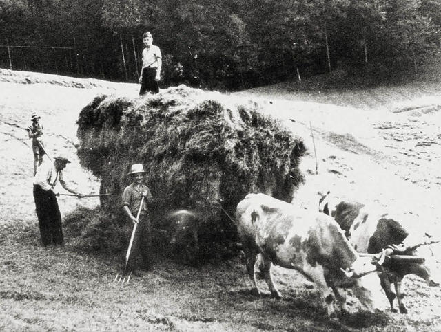 Die Heuernte frherer Tage in Riedern....  | Foto: Gerda Oswald