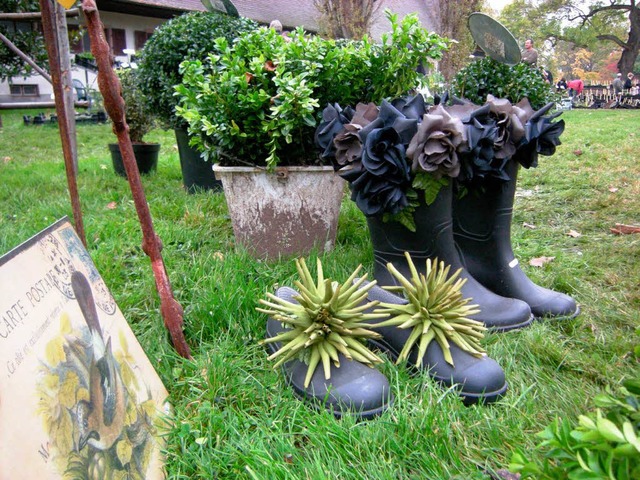 Im  Parc von Schoppenwihr bei Colmar f...r ein groes Herbstpflanzenfest statt.  | Foto: Jill Kppe