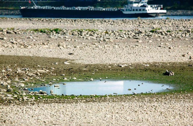 Wochen ohne nennenswerten Regen haben die Pegelstnde sinken lassen.  | Foto: dpa