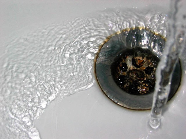 Das Wehrer Trinkwasser fast in der ges...nreinigung mit Kolibakterien gechlort.  | Foto: Elisabeth Frieling