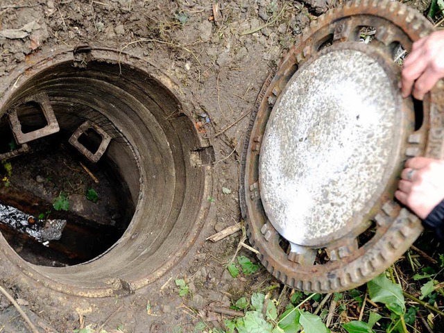 In diesem Gully wurde das schwer verletzte Mdchen von einem Sprhund entdeckt.  | Foto: dpa