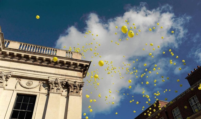 Gelbe Ballons fliegen am Schloss von D...d sagt &#8222;Ja&#8220; zur EU-Reform.  | Foto: dpa