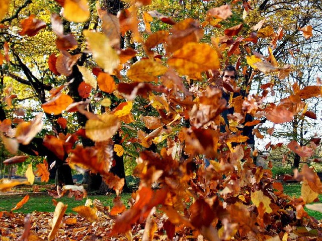 Was fr ein Riesenspa! Auf dem Schulw...seinen Freunden in den Blttern toben!  | Foto: dpa