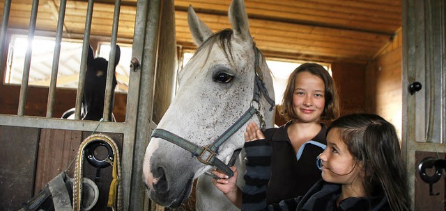 Pferde hautnah zum Anfassen gab es am Tag der offenen Stalltr.   | Foto: Heidi Fssel