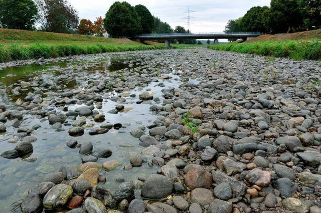 Fotos: Trockenheit in Sdbaden