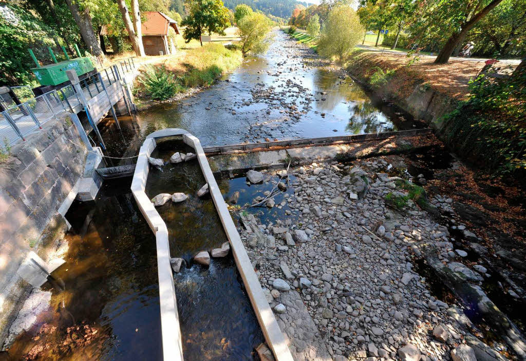 Die Dreisam am Sandfang in Freiburg