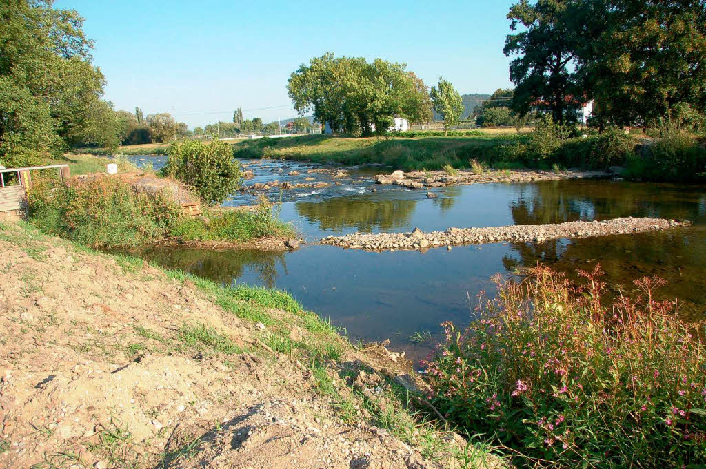 Wenig Wasser in der Elz bei Sexau