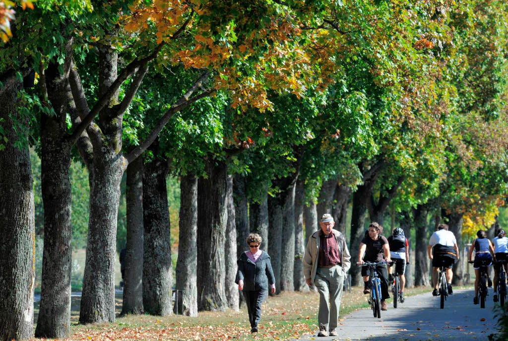 Spaziergnger genieen  den goldenen Oktober am Dreisamufer.