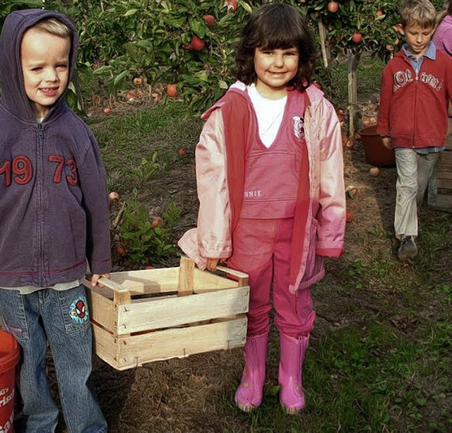 Schulanfnger  der Kindergrten Arche ...leiig  bei der Apfelernte geholfen.    | Foto: Privat