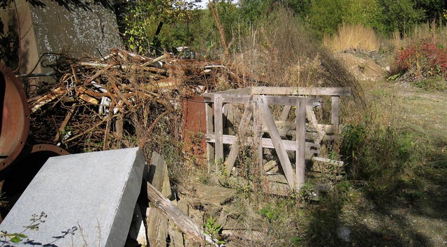 Mit grndlichem Hausputz ist es nicht ...;Alter Dorfkern Bleibach&quot; gehrt.  | Foto: Gerda Oswald