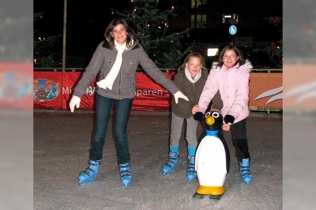 Eisbahn am Karlsbau auf der Kippe