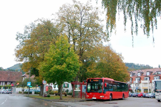 Der Dardilly-Platz mit allen Bumen un...bleibt nach der neuen Planung erhalten  | Foto: Andrea Gallien