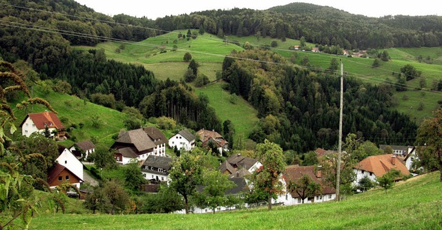 Den  Riedichern fllt   manches  ein, ...s Dorf aufgewertet  werden   knnte.    | Foto: Silke  Hartenstein