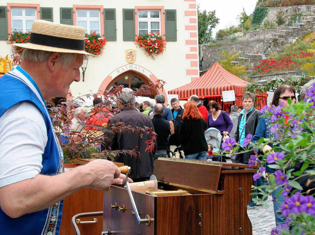 Die schnsten Bilder von Hela und dem Apfelmarkt in Laufenburg.