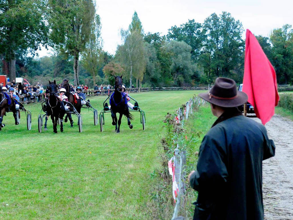 Pferderennen in Meienheim