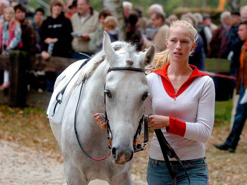 Pferderennen in Meienheim