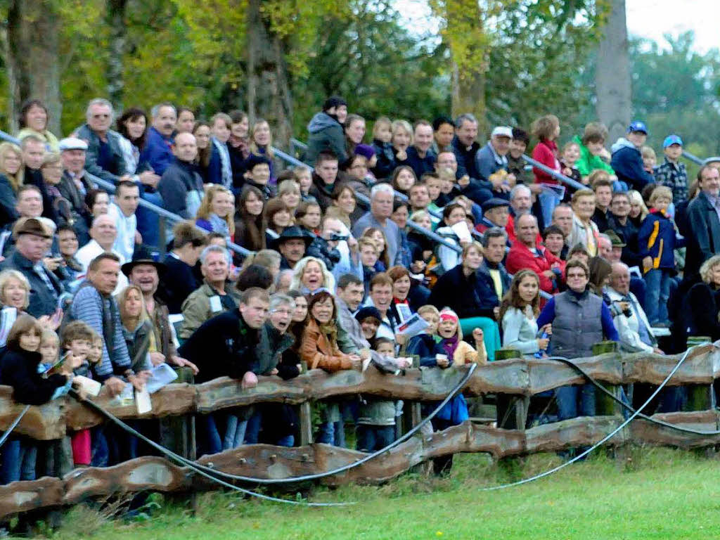 Pferderennen in Meienheim