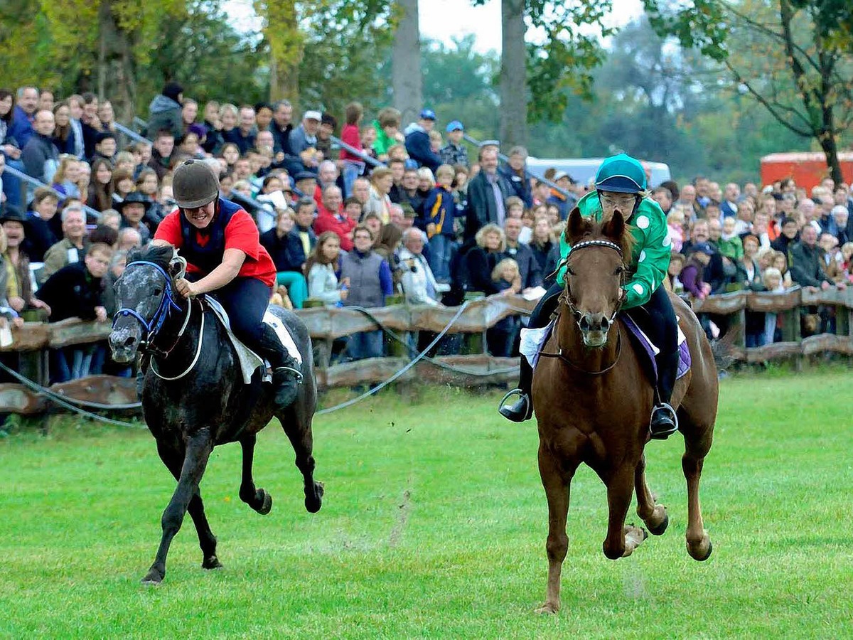 Pferderennen in Meienheim