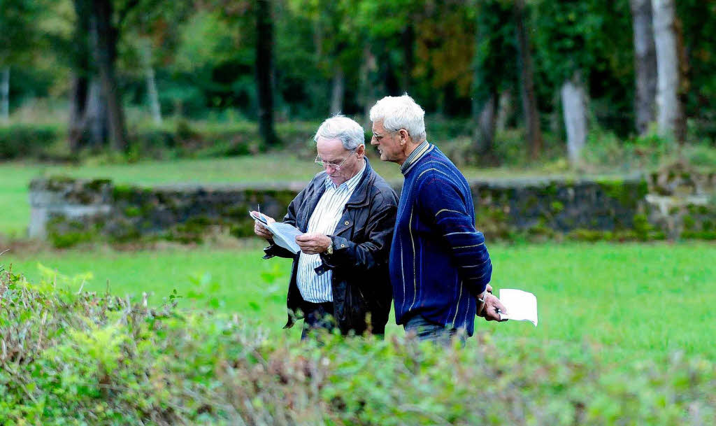 Pferderennen in Meienheim