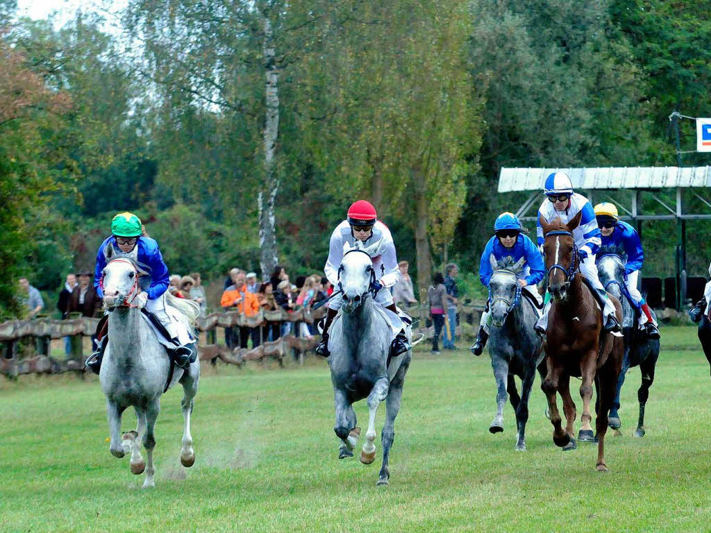 Pferderennen in Meienheim