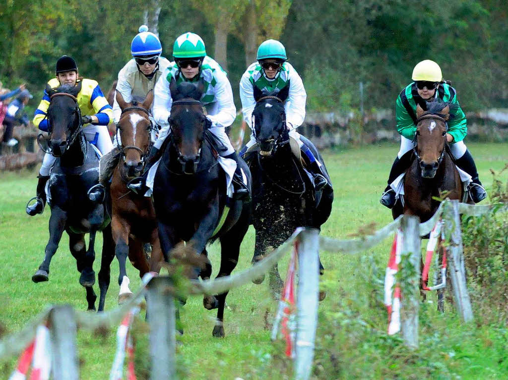 Pferderennen in Meienheim