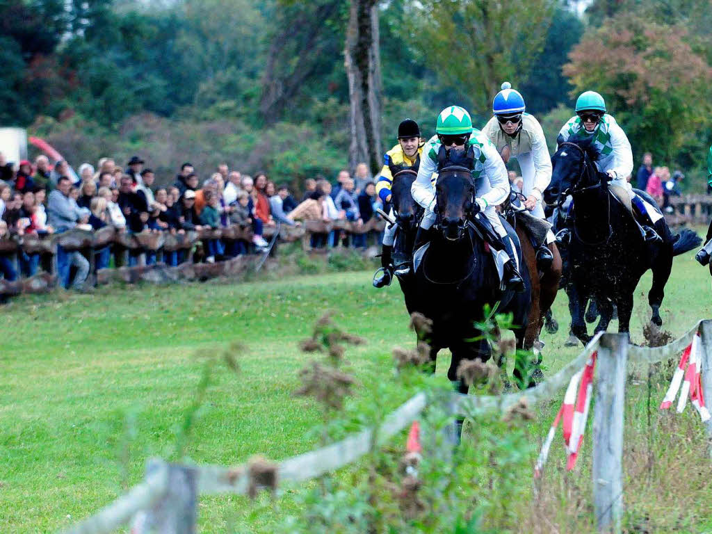 Pferderennen in Meienheim